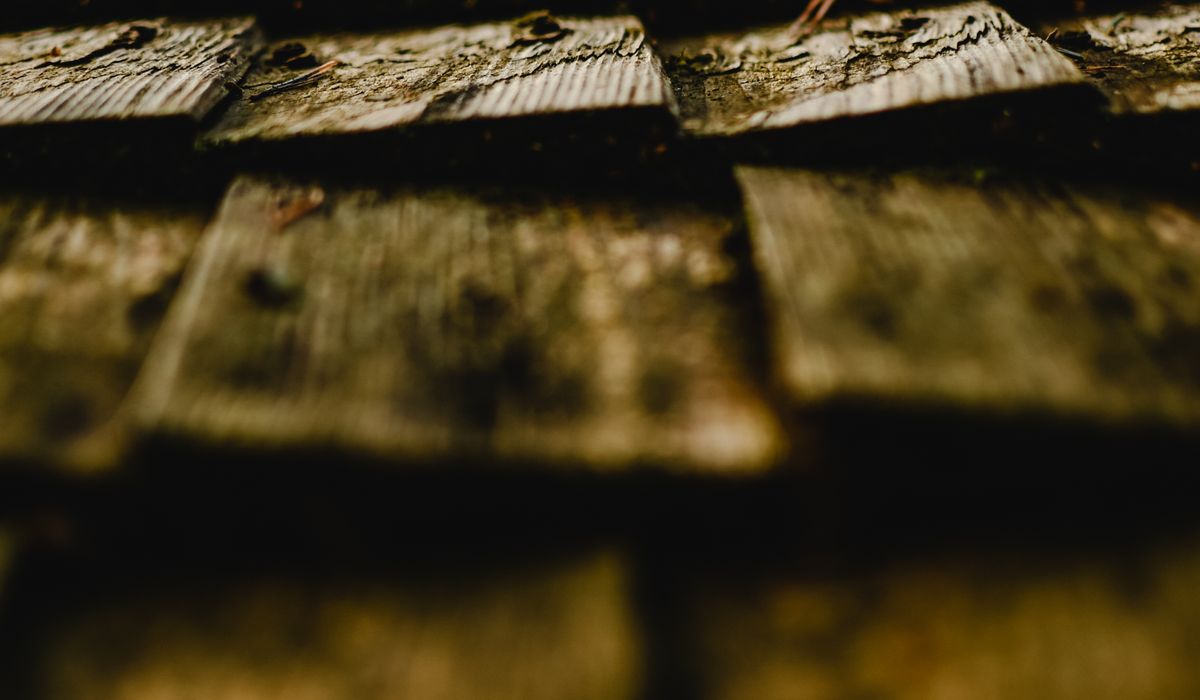 Close-up of weathered roof shingles
